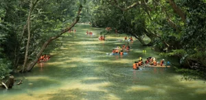 Động Phong Nha – Công Viên Ozo